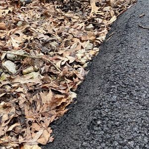 Meet your Posher, Abbie